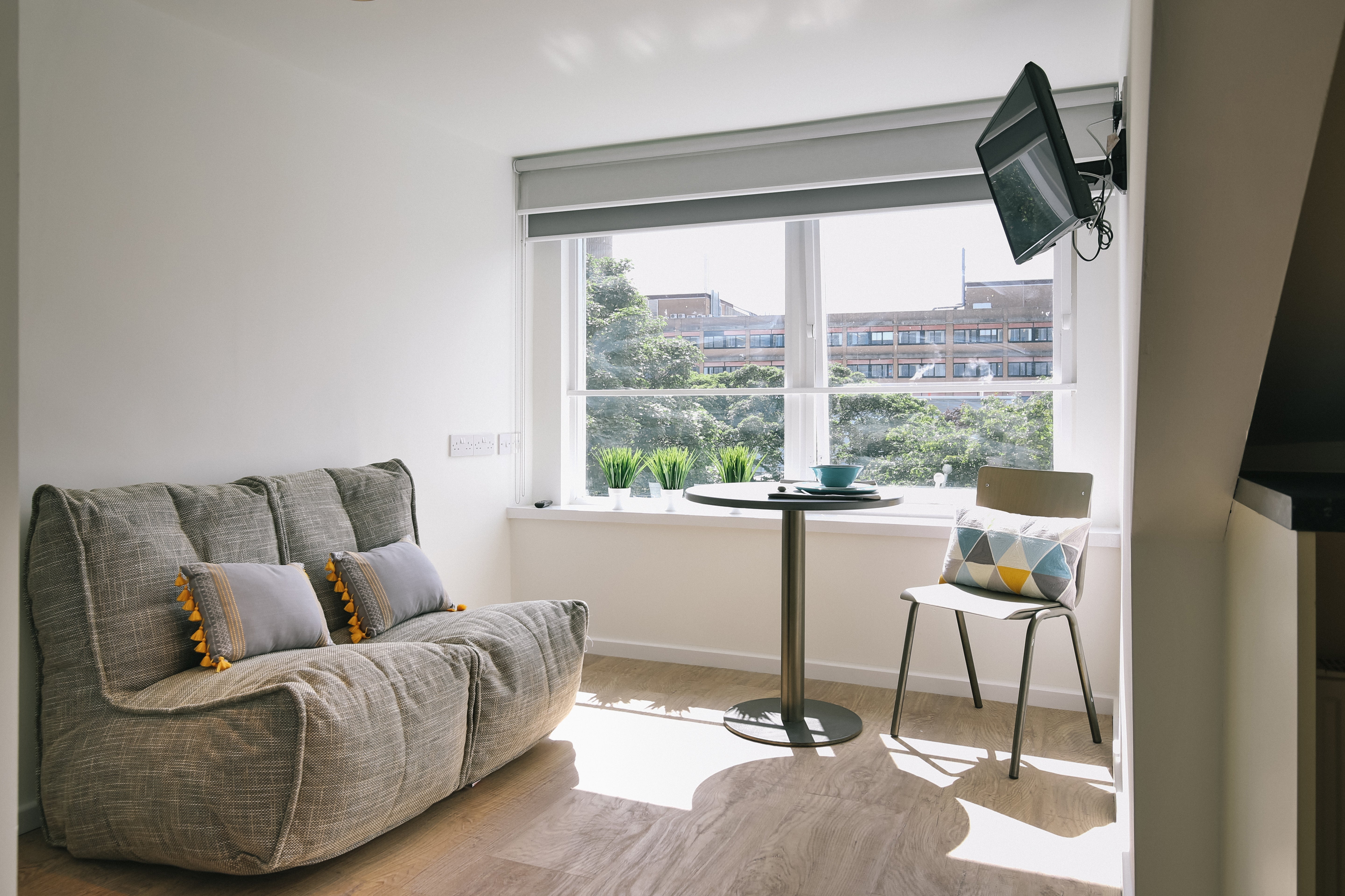Twin Couch in Eco Weave beside window in small living room