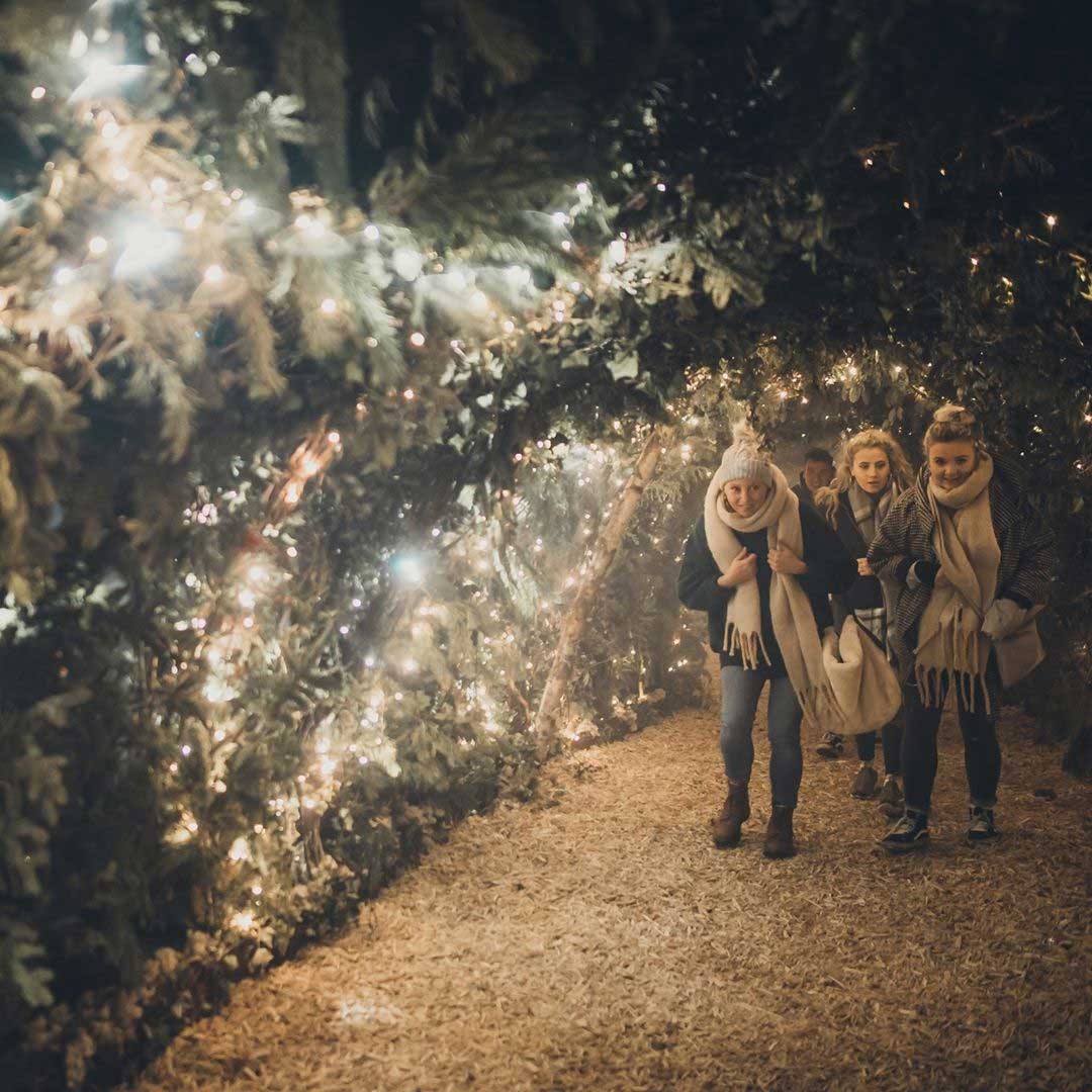 Backyard Cinema's Christmas Labyrinth 03